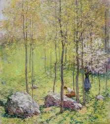 ハナミズキの花、1906